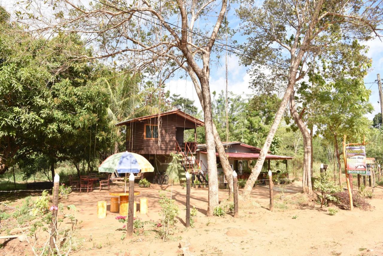 Pidurangala View Home Stay Sigiriya Exterior foto