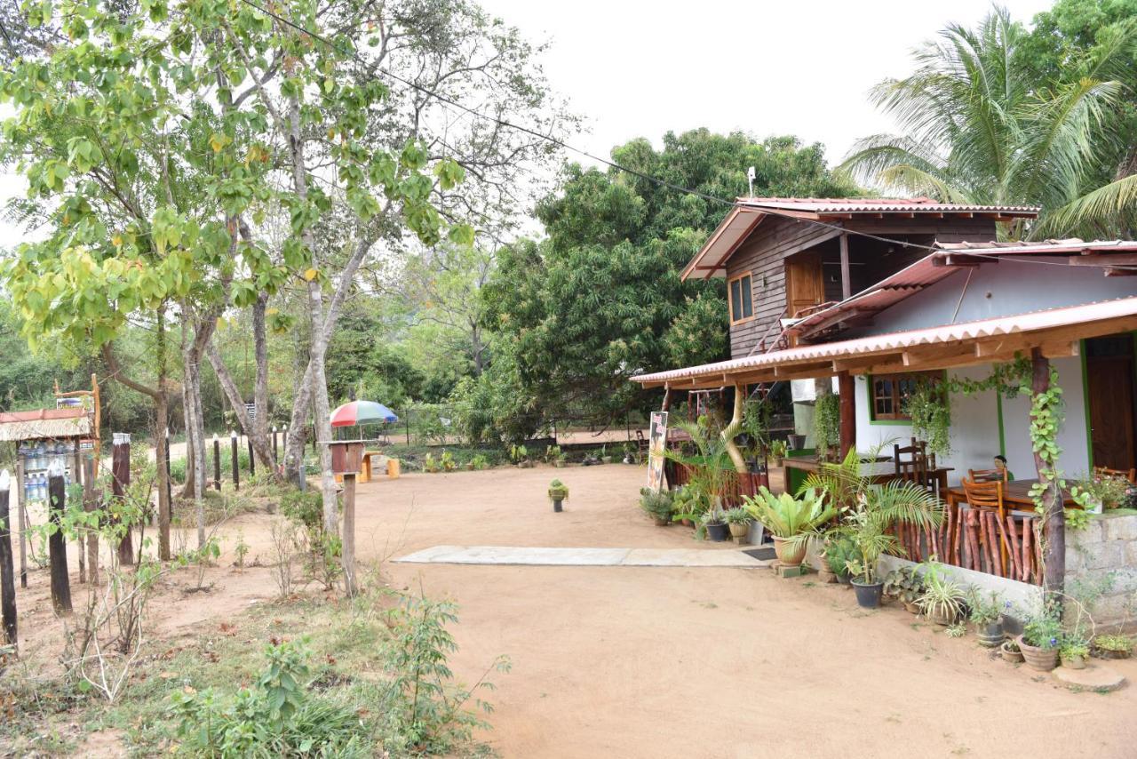 Pidurangala View Home Stay Sigiriya Exterior foto